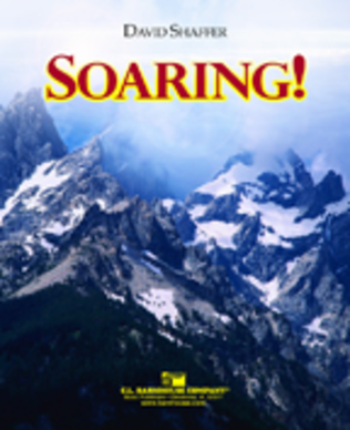Book cover for Soaring!
