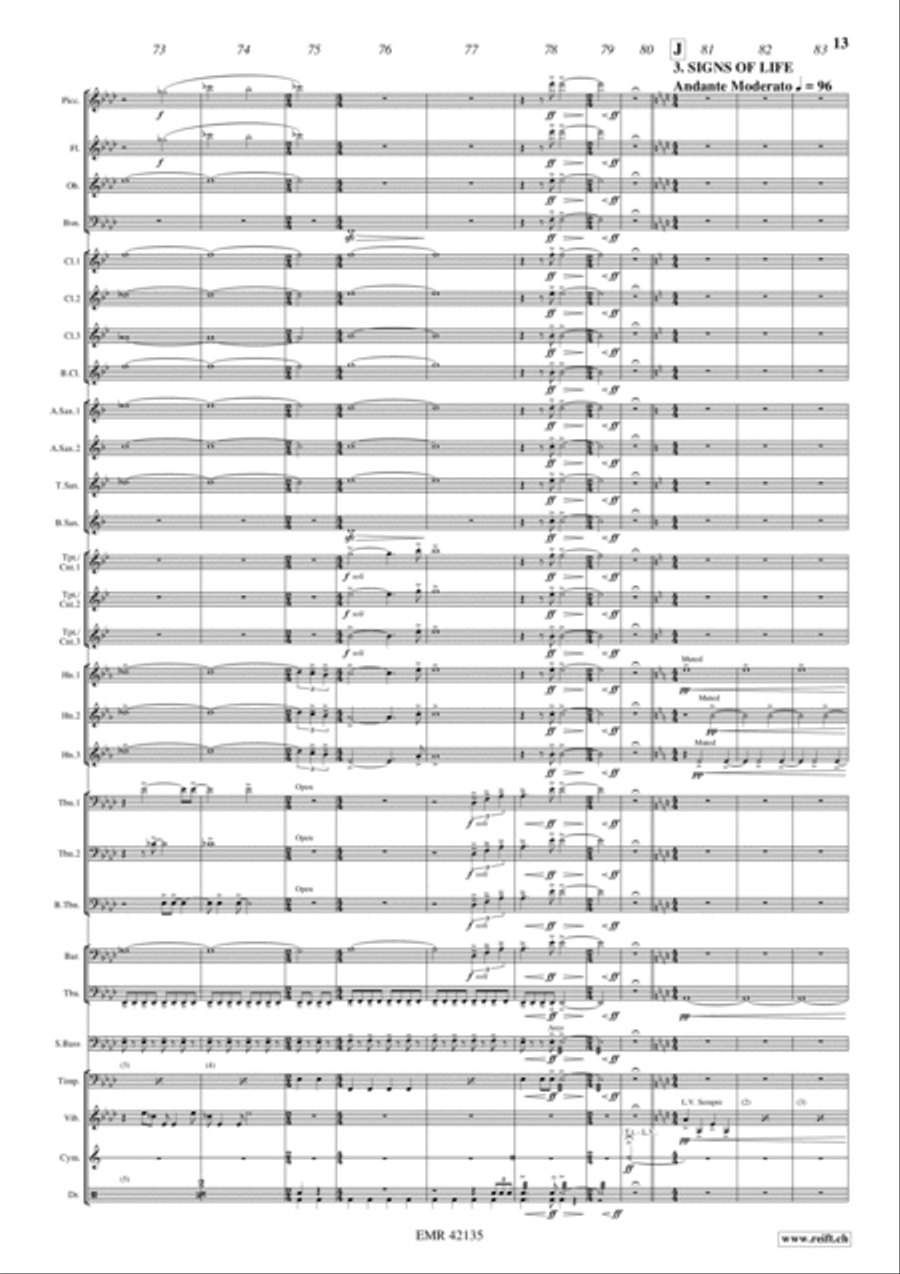 Big Hero 6 Big Hero 6 Concert Band scores gallery preview page 6