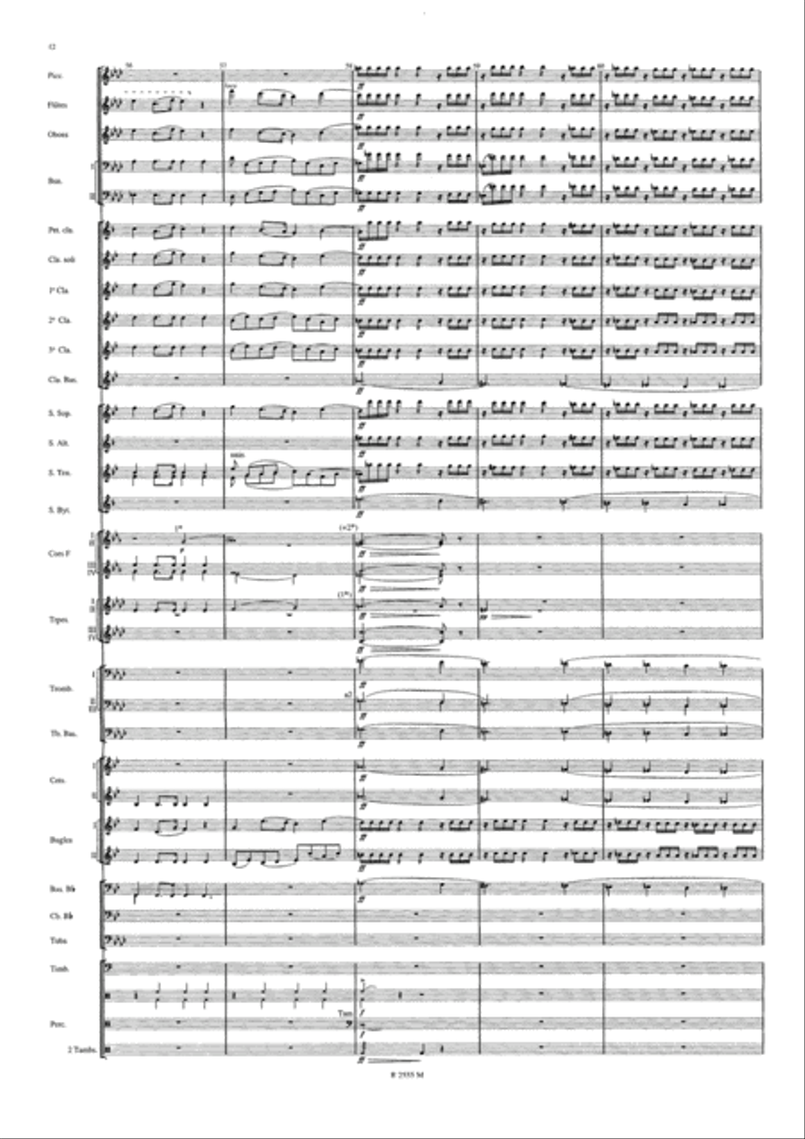 Symphonie Funebre et Triomphale Concert Band scores gallery preview page 13