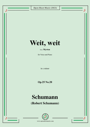 R. Schumann-Weit,weit,Op.25 No.20,from Myrten,in c minor
