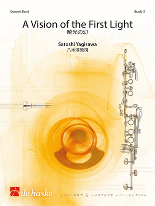 Book cover for A Vision of the First Light