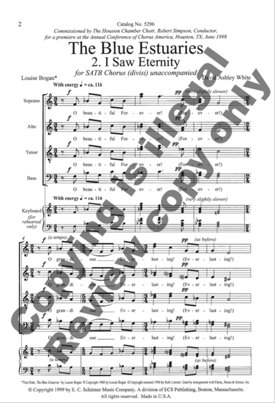 The Blue Estuaries: 2. I Saw Eternity Divisi scores gallery preview page 9