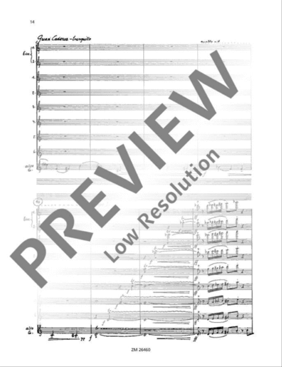 Cassation Flute scores gallery preview page 15