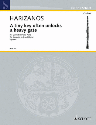 Book cover for A tiny key often unlocks a heavy gate