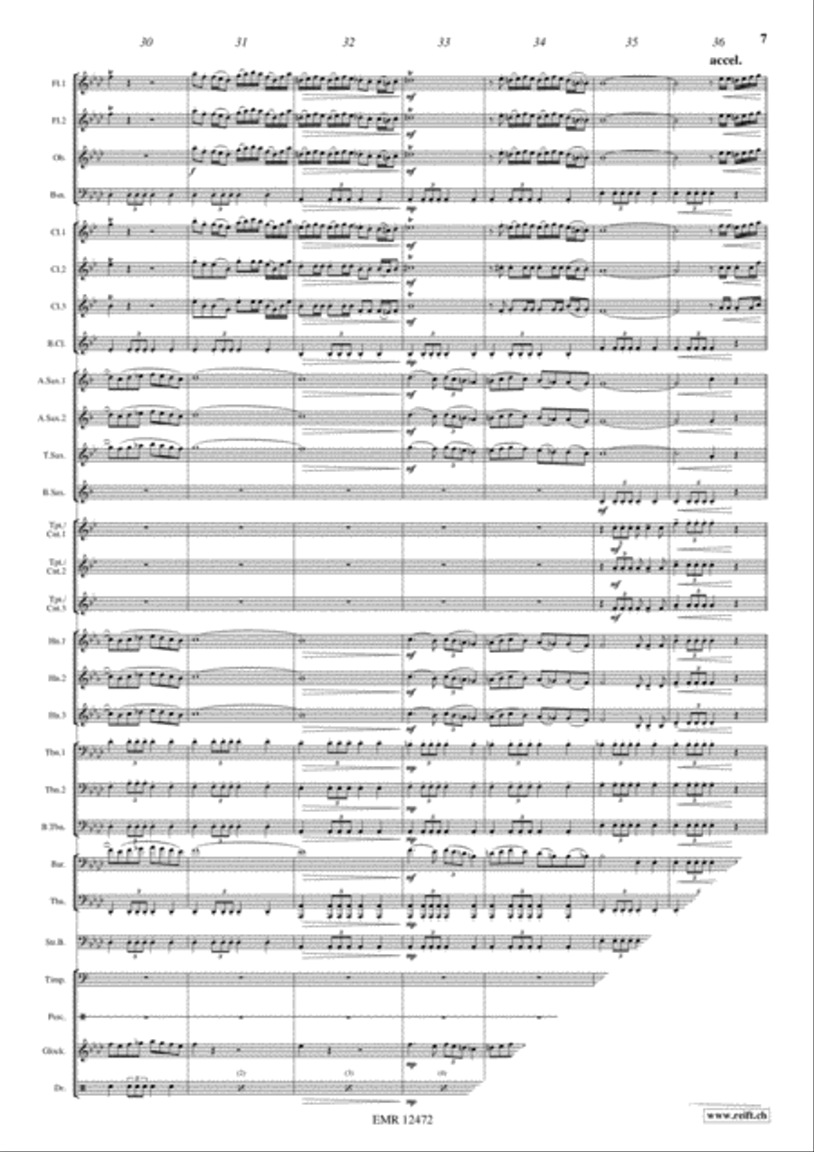 March On The Drina Concert Band scores gallery preview page 7