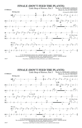 Finale (Don't Feed the Plants): Cymbals