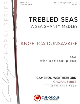 Book cover for Trebled Seas: A Sea Shanty Melody