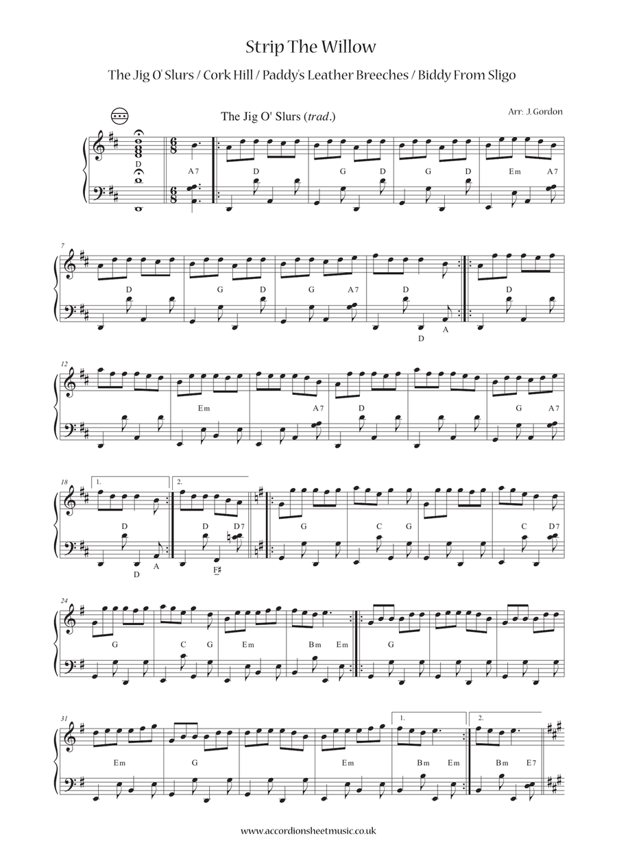 Strip The Willow (The Jig O' Slurs / Cork Hill / Paddy's Leather Breeches / Biddy From Sligo) Accordion scores gallery preview page 2