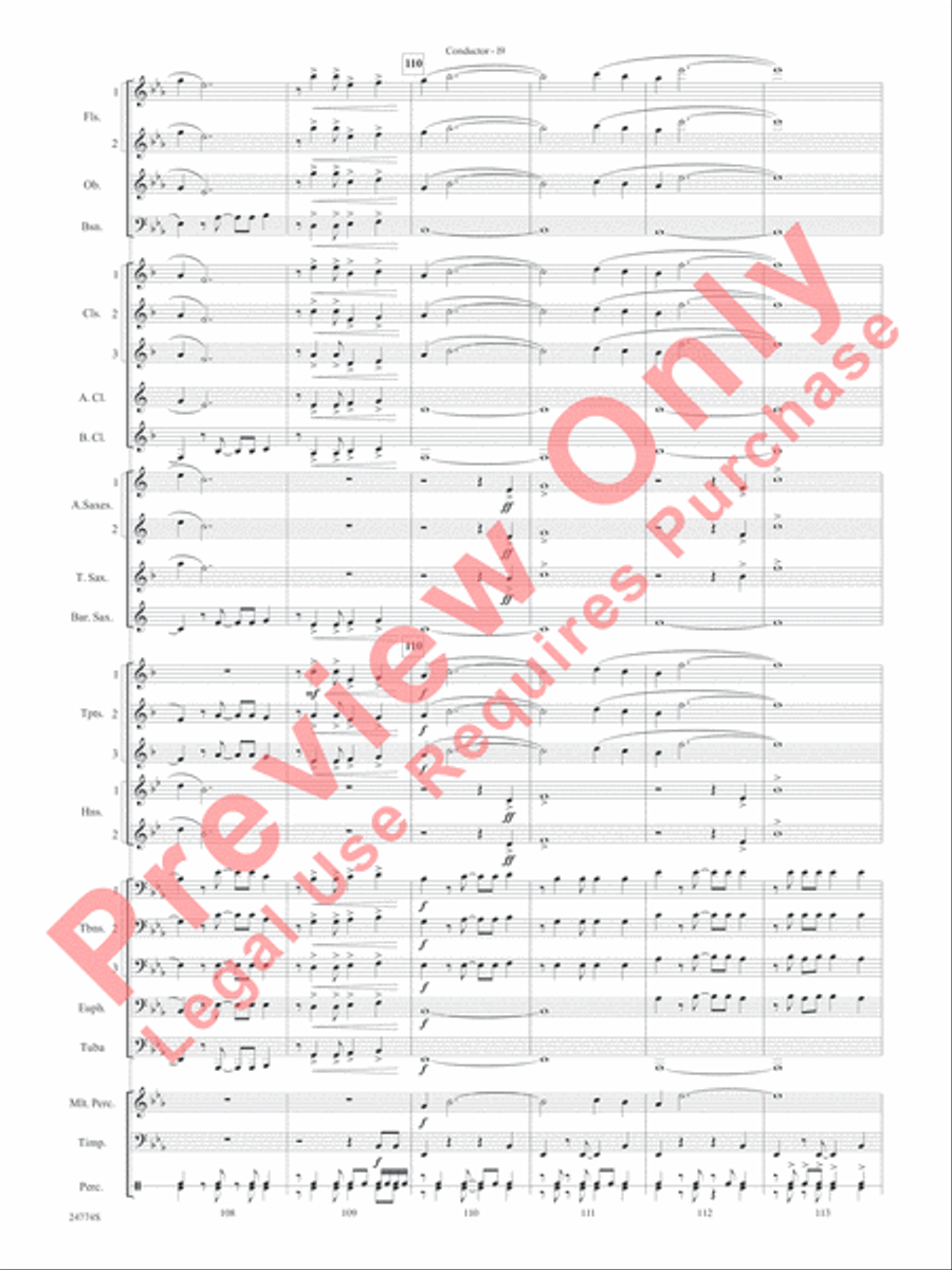 The Magnificent Seven Concert Band scores gallery preview page 22
