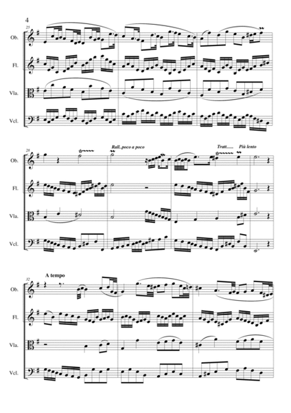 Quartet in E minor for Oboe Flute and Strings CS061_1 mov image number null