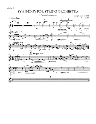 Symphony for String Orchestra, Op. 2