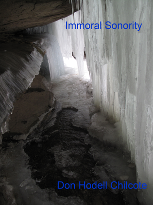 Book cover for Immoral Sonority