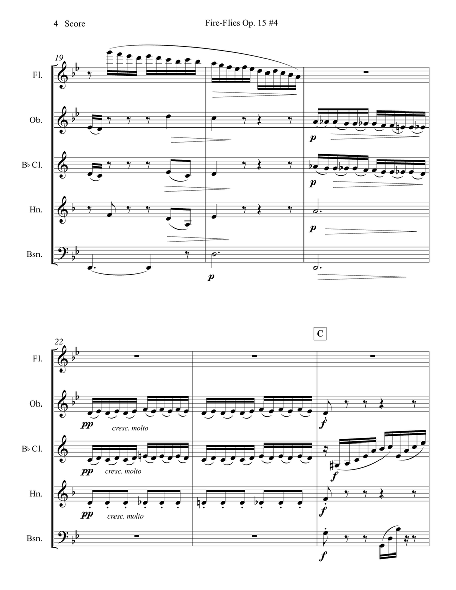 Fire Flies - Amy Beach - set for Woodwind Quintet Woodwind Quintet scores gallery preview page 5