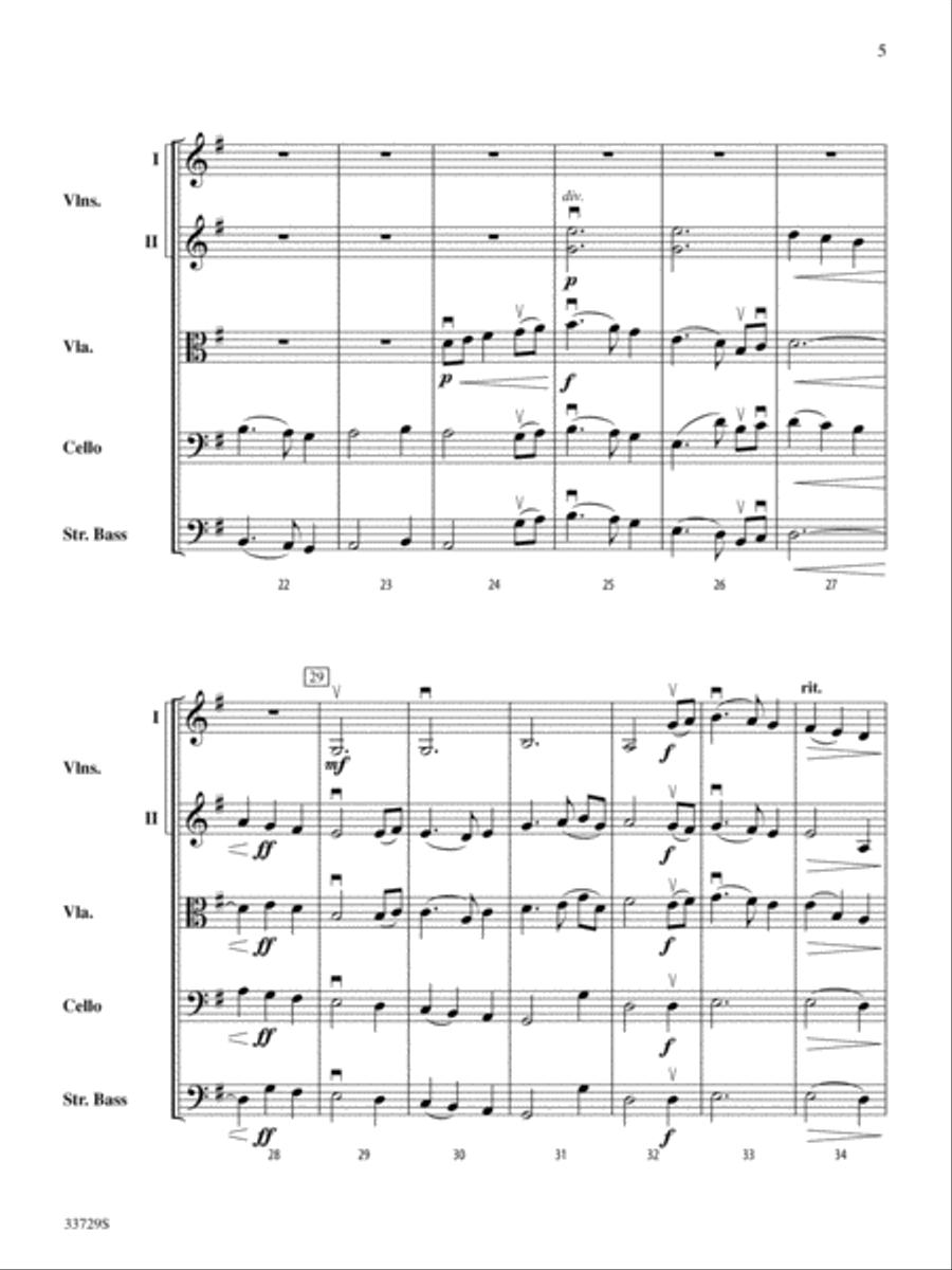 Irish Whistle: Score Irish Whistle: Score String Orchestra scores gallery preview page 5