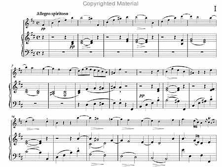 Flute concerto No. 11