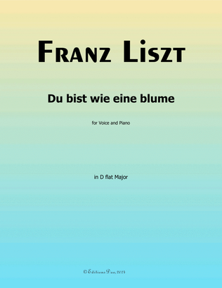 Book cover for Du bist wie eine blume, by Liszt, S.287, in D flat Major