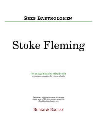 Book cover for Stoke Fleming