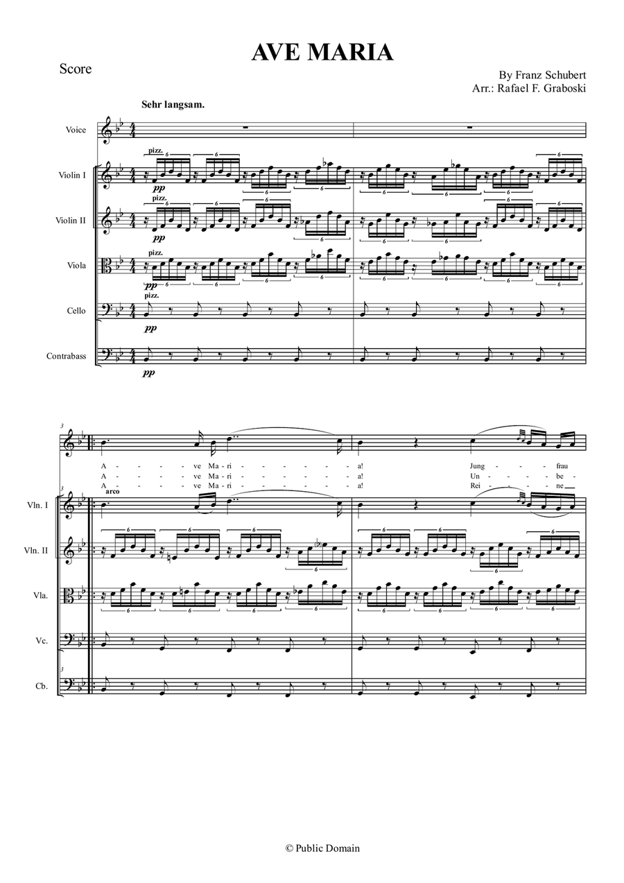 Ave Maria Ave Maria Chamber Orchestra scores gallery preview page 1
