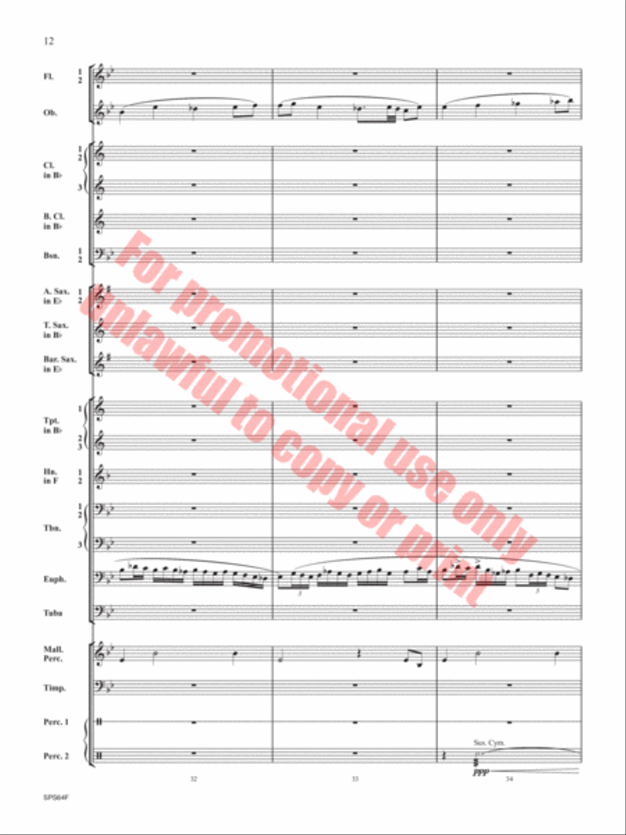 The Rusty Bucket Concert Band scores gallery preview page 13