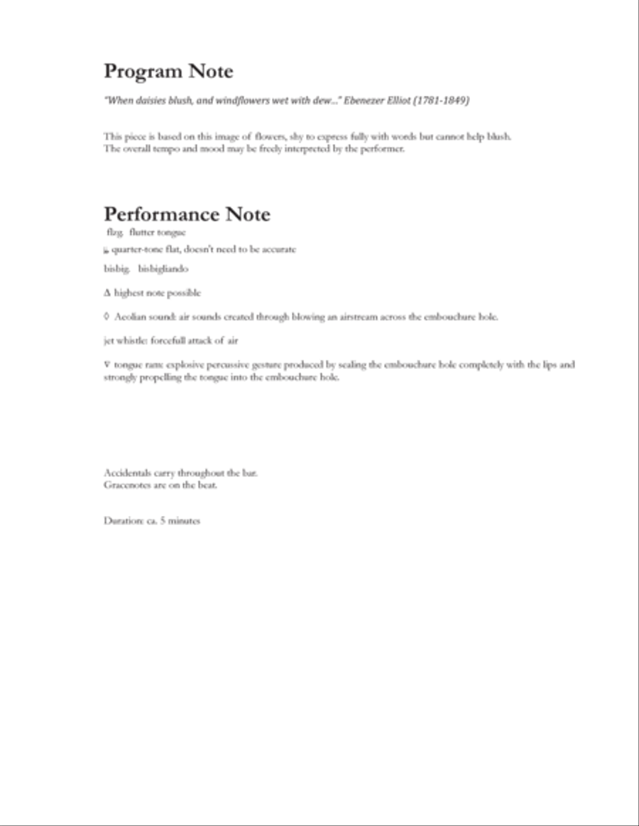 Blush for flute and alto flute Flute Duet scores gallery preview page 2