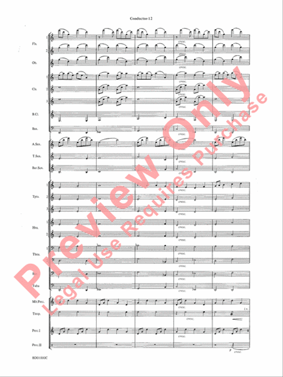 Chant Rituals Chant Rituals Concert Band scores gallery preview page 15