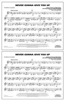 Book cover for Never Gonna Give You Up - Bb Horn/Flugelhorn