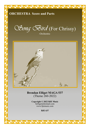 Song Bird (For Chrissy) - Cor Anglais with Orchestra