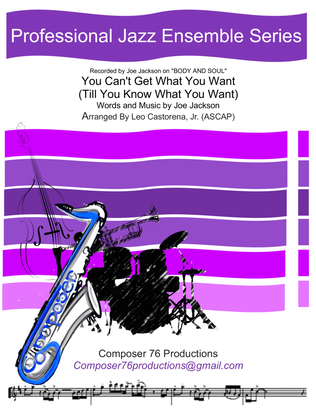 Book cover for You Can't Get What You Want (till You Know What You Want)