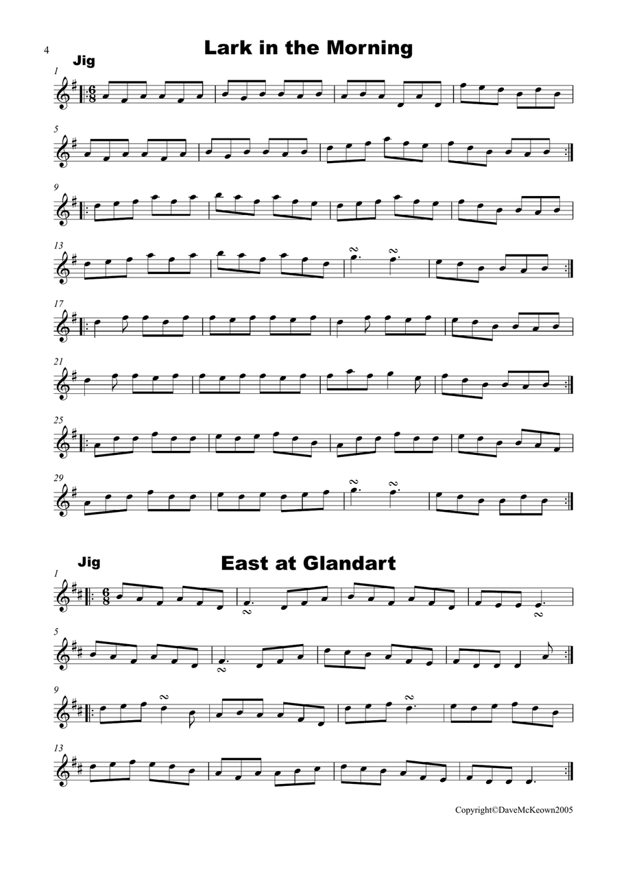 Irish Dance Music Vol.1 for Whistle; 40 Jigs, Reels, Hornpipes and more.... Tin Whistle scores gallery preview page 4
