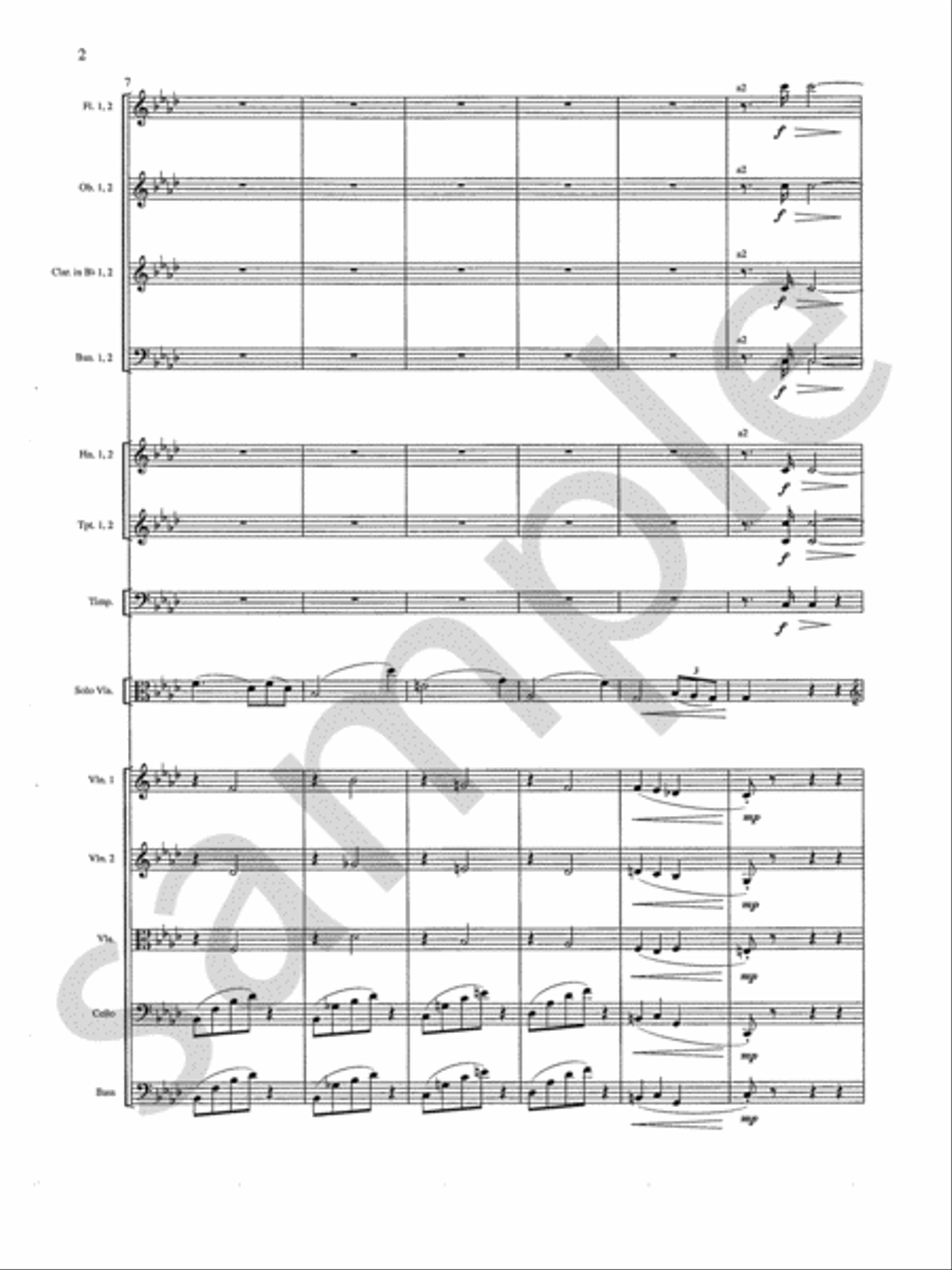 Concerto Orchestra scores gallery preview page 4