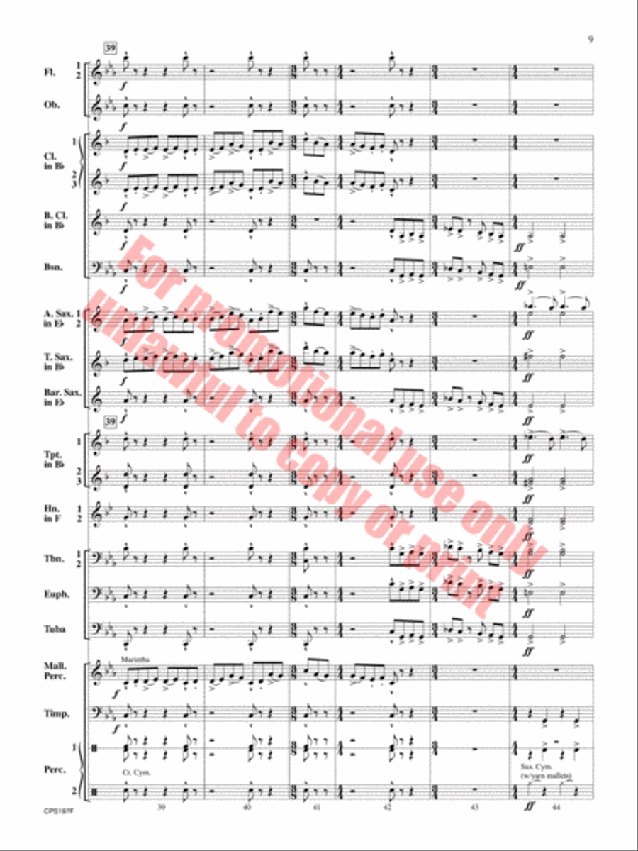 Polar Vortex Concert Band scores gallery preview page 10