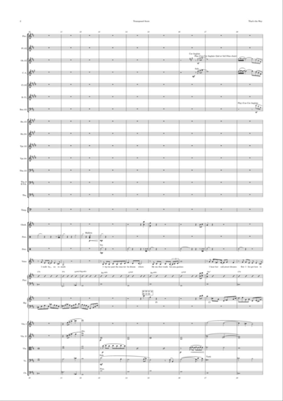 That's The Way I've Always Heard It Should Be Full Orchestra scores gallery preview page 2
