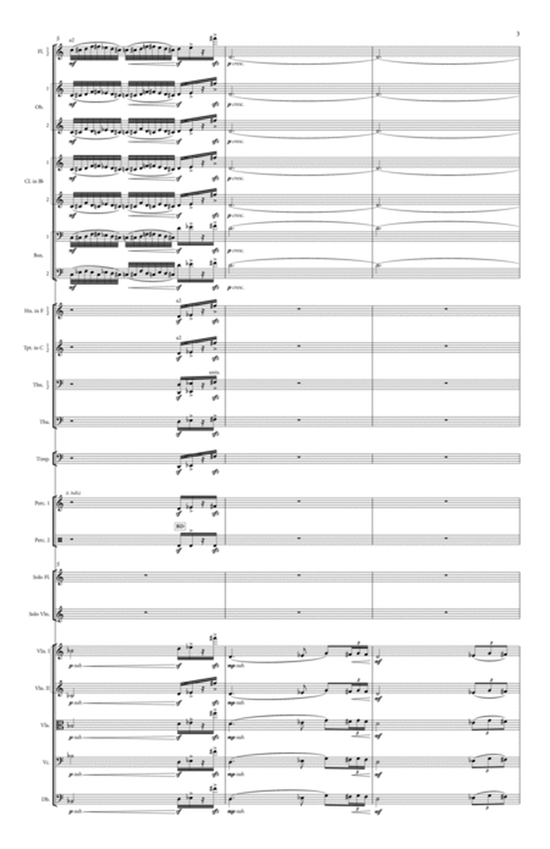Concerto for Flute, Violin and Orchestra (Score only) image number null