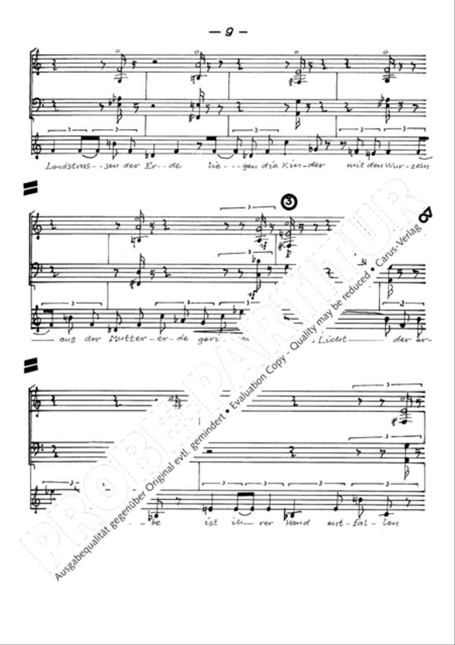 Todesblumen Flute scores gallery preview page 12