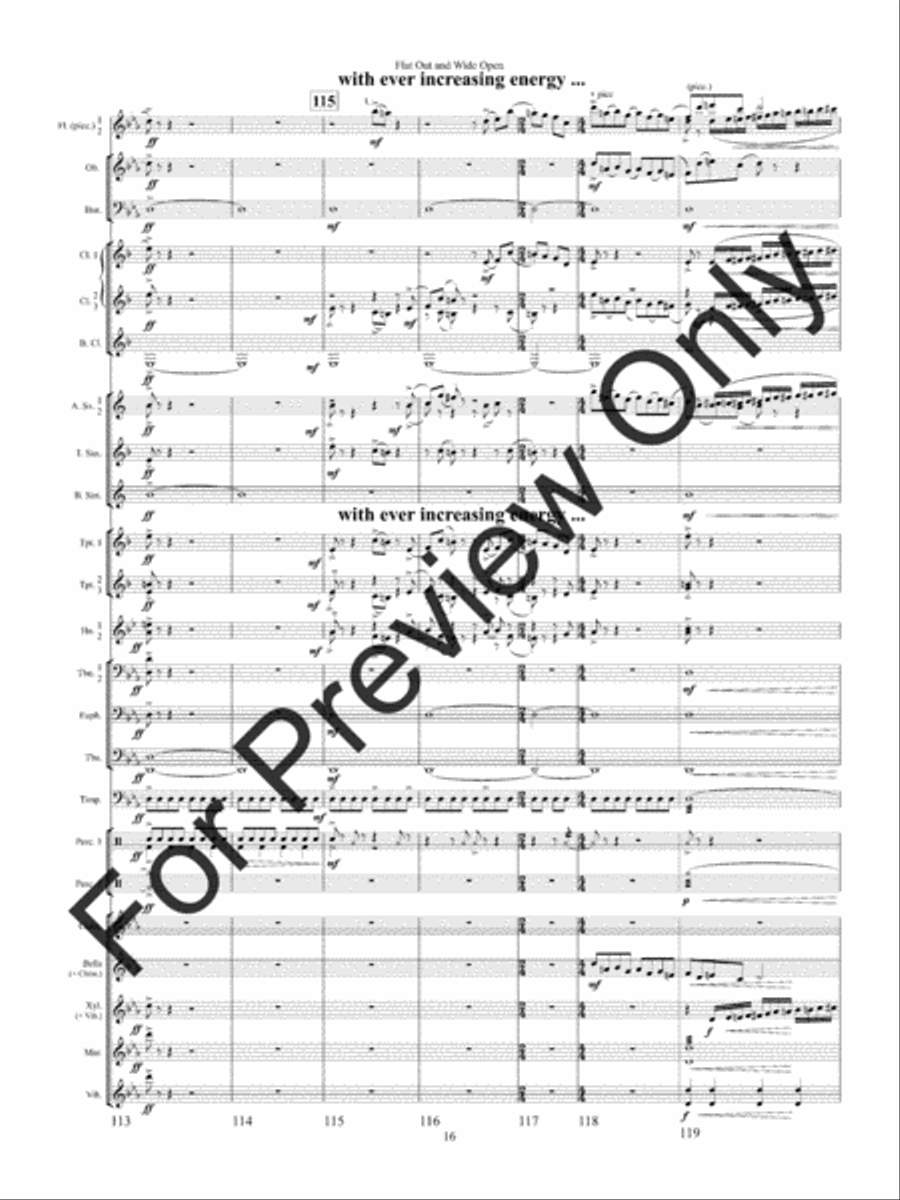 Flat Out and Wide Open Concert Band scores gallery preview page 19