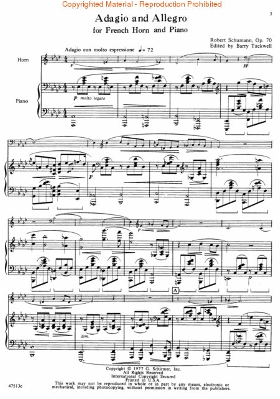 Adagio and Allegro, Op. 70 Piano Accompaniment scores gallery preview page 3
