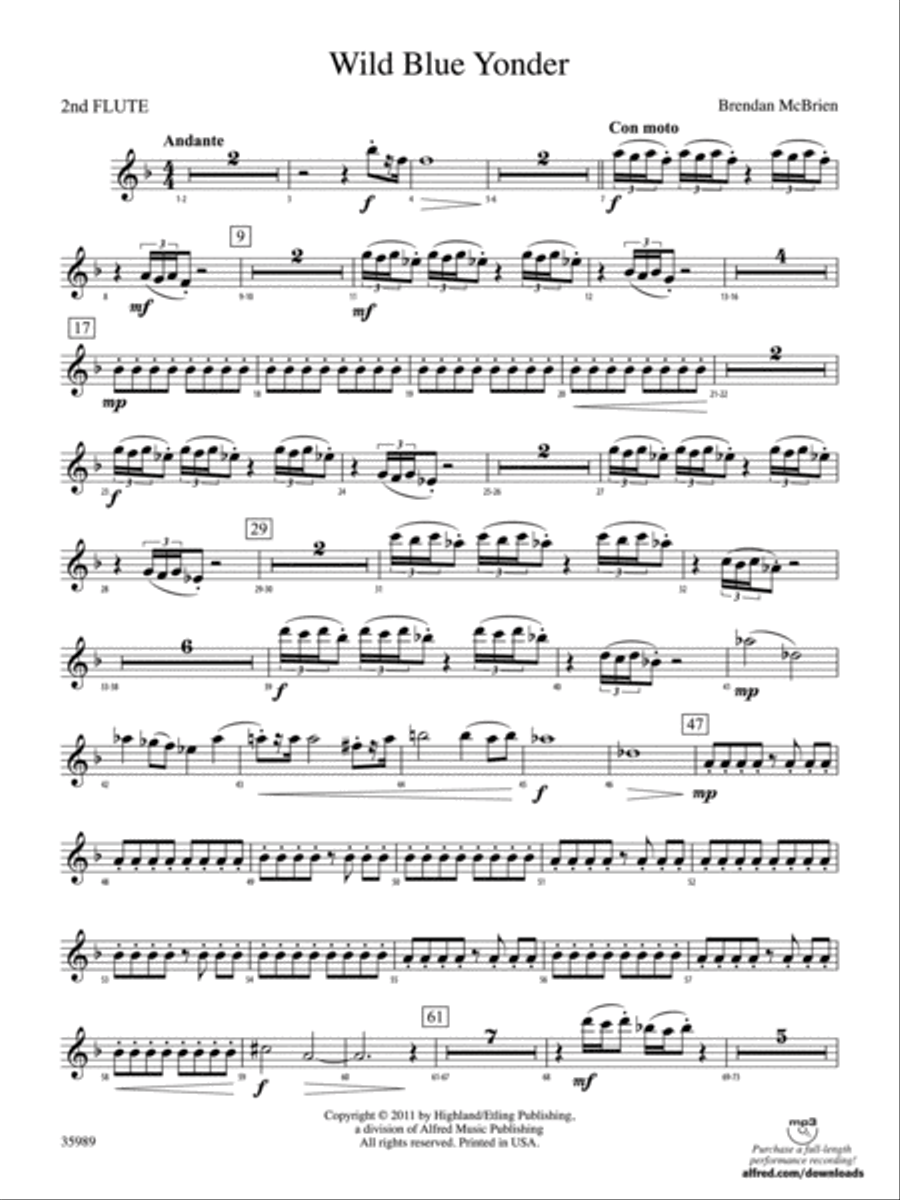 Wild Blue Yonder: 2nd Flute Full Orchestra scores gallery preview page 1