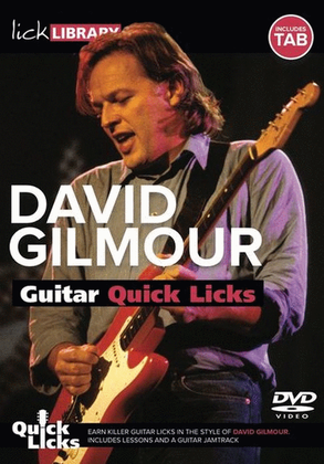 Guitar Quick Licks
