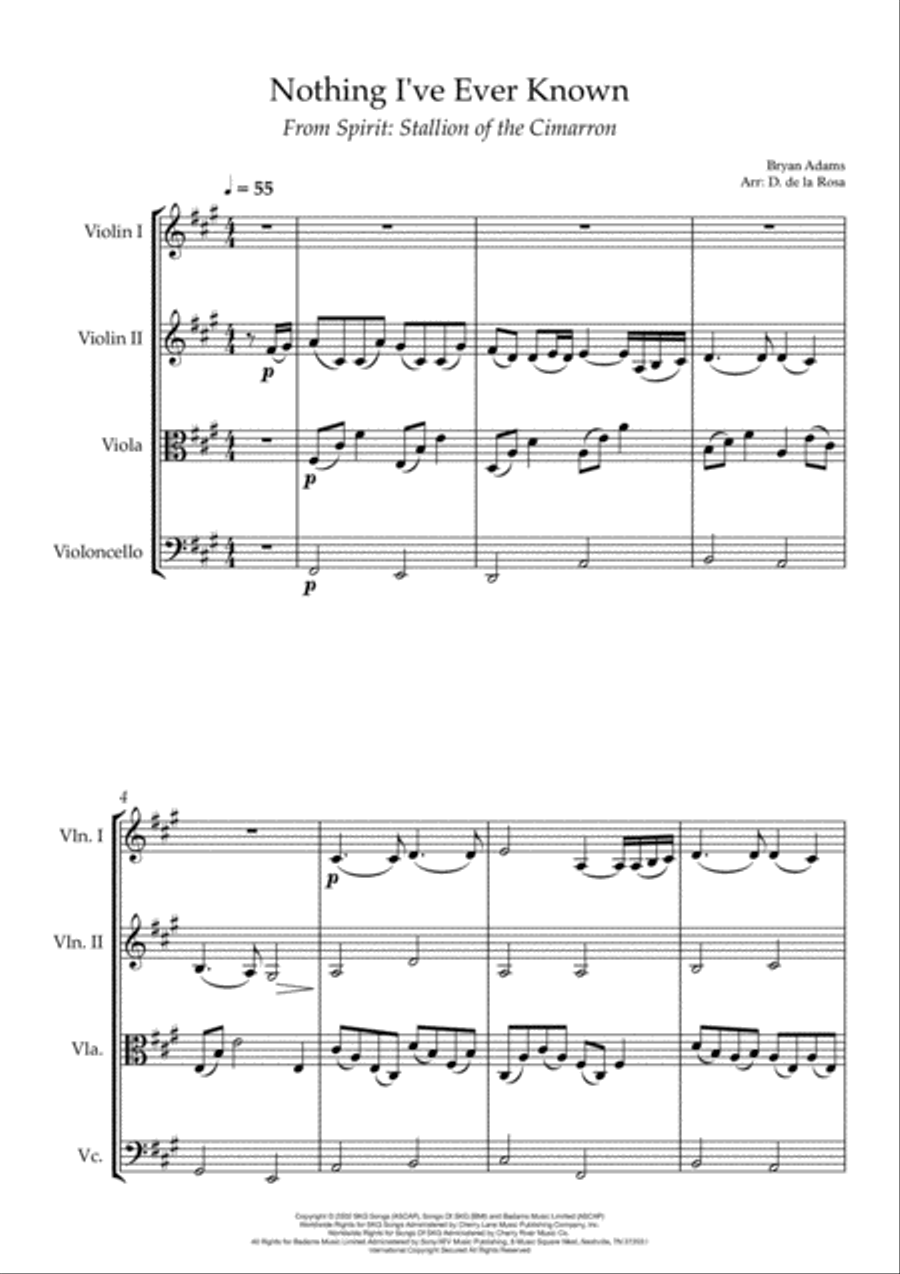 Nothing I've Ever Known Nothing I've Ever Known String Quartet scores gallery preview page 3