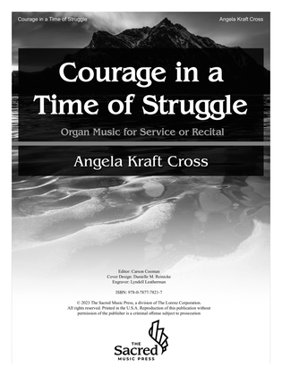 Book cover for Courage in a Time of Struggle