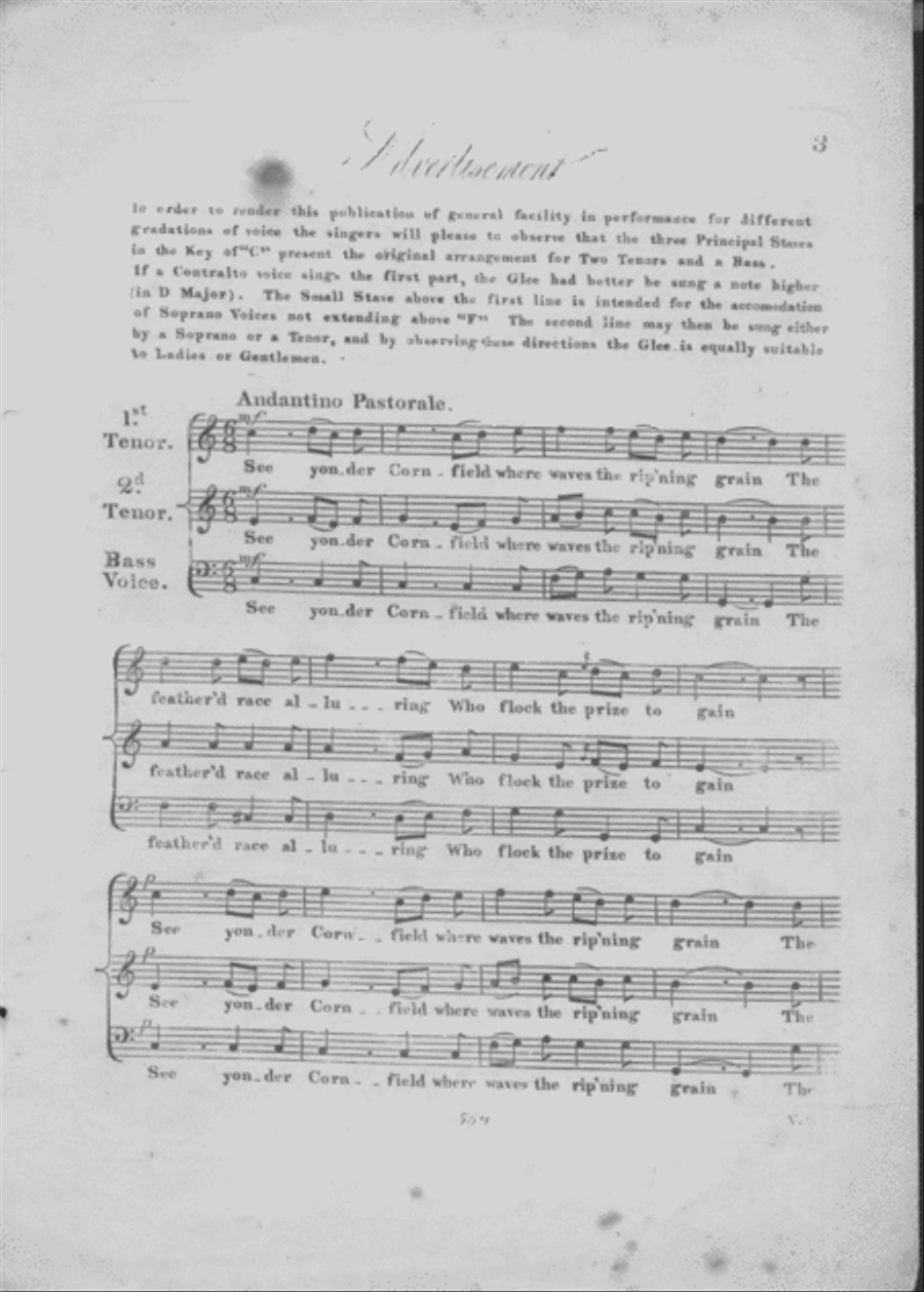 Crows in a Cornfield. A Fable Voice scores gallery preview page 2