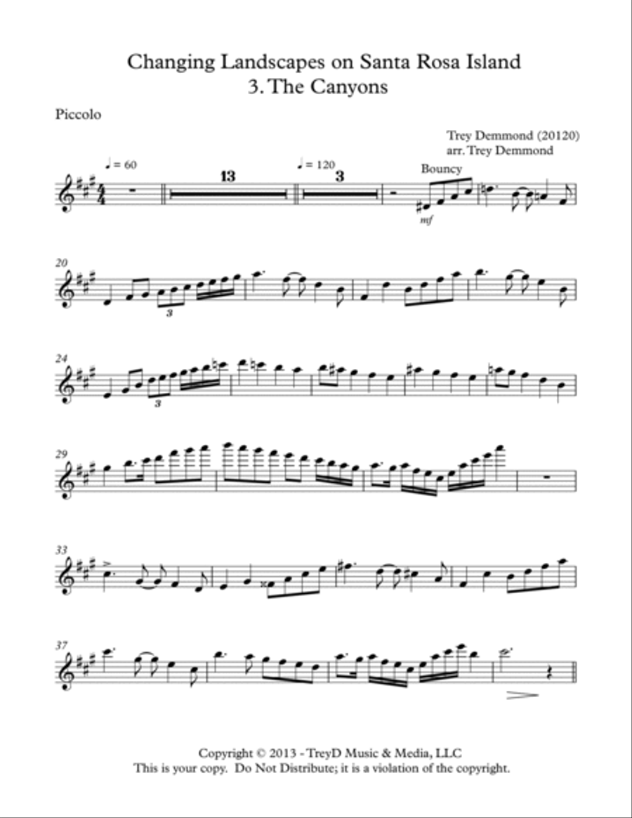 The Canyons and Their Moods Chamber Orchestra scores gallery preview page 6