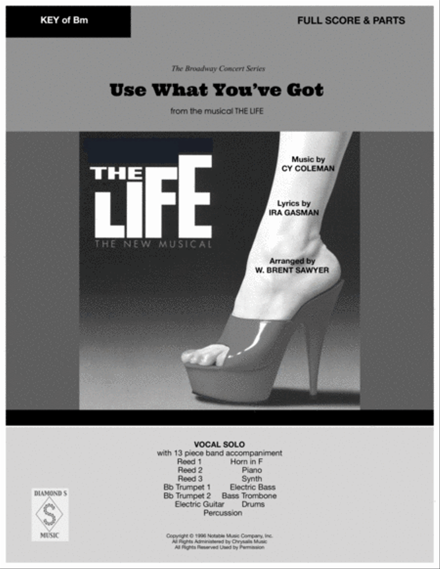 Use What You Got Large Ensemble scores gallery preview page 2