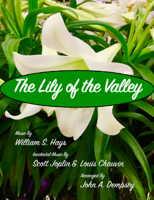 Book cover for The Lily of the Valley (Violin and Piano)