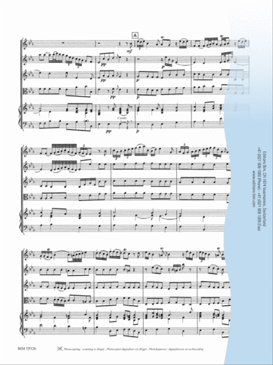 Concerto in Eb Major String Orchestra scores gallery preview page 9
