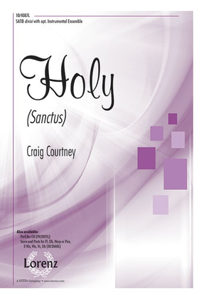 Book cover for Holy (Sanctus)
