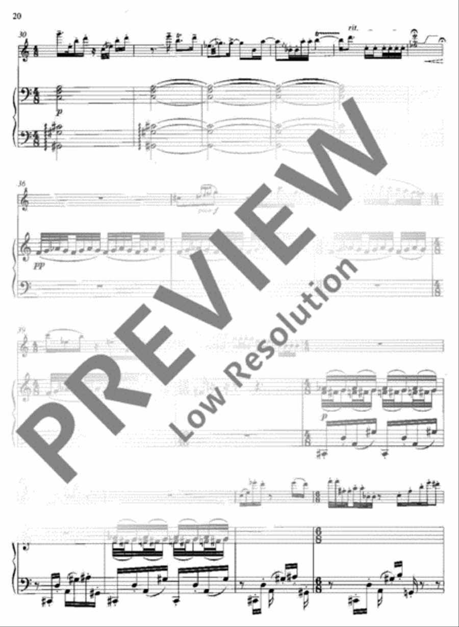Concerto Concerto Recorder scores gallery preview page 21