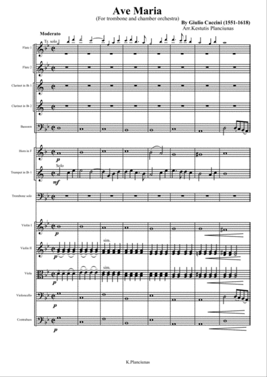 Ave Maria (For trombone and chamber orchestra) Chamber Orchestra scores gallery preview page 2