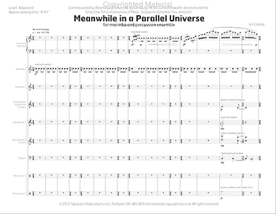 Meanwhile in a Parallel Universe Redux Percussion Ensemble scores gallery preview page 6