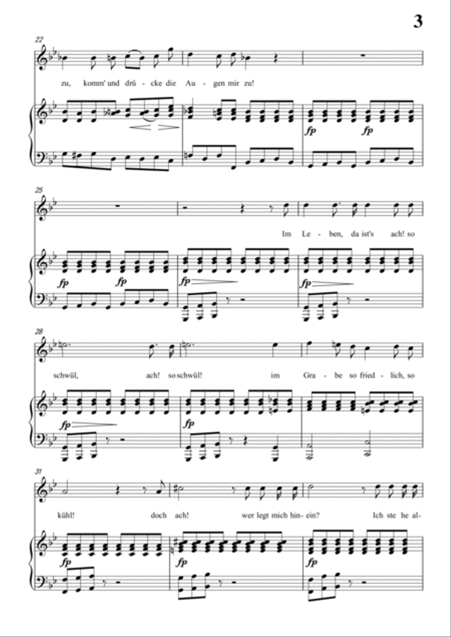 Schubert-Todtengräbers Heimweh in g minor,for Vocal and Piano Voice scores gallery preview page 4